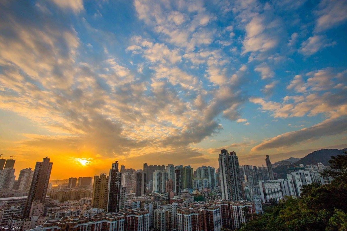 Looking Down From Garden Hill, Sham Shui Po Spreads Out From Us To Include Old Streets, Quiet Shophouses And Romantic “Tong Lau”s Which Mesmerize You With Its Old-world Charm